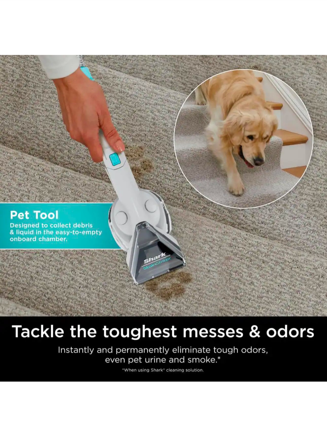 StainStriker Portable Corded Upholstery, Car, Rug and Carpet Cleaner with Spot and Pet Odor Remover in White